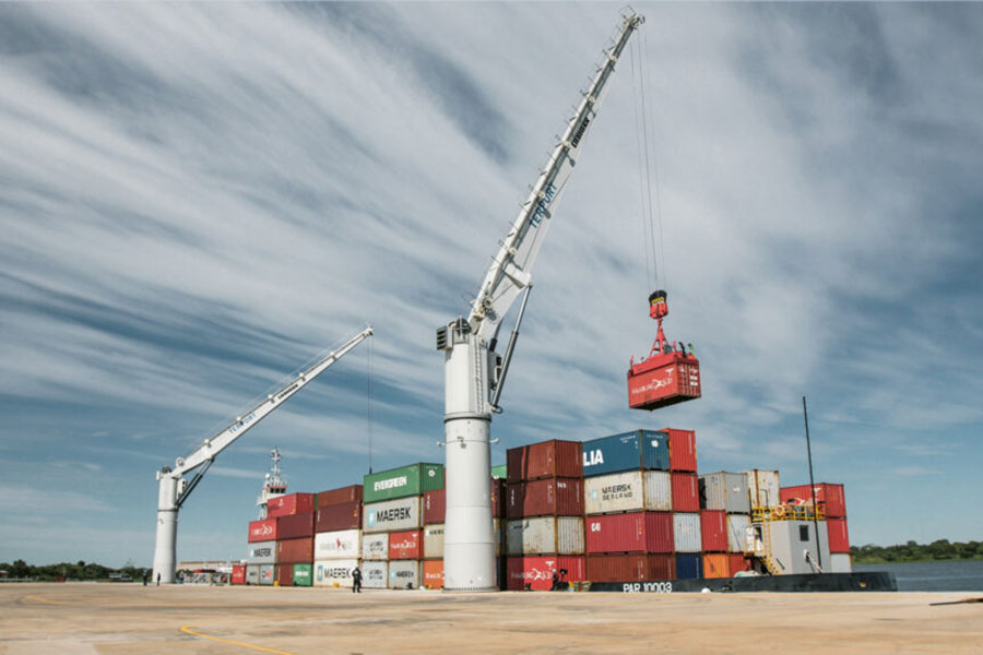 Cẩu cố định FCC